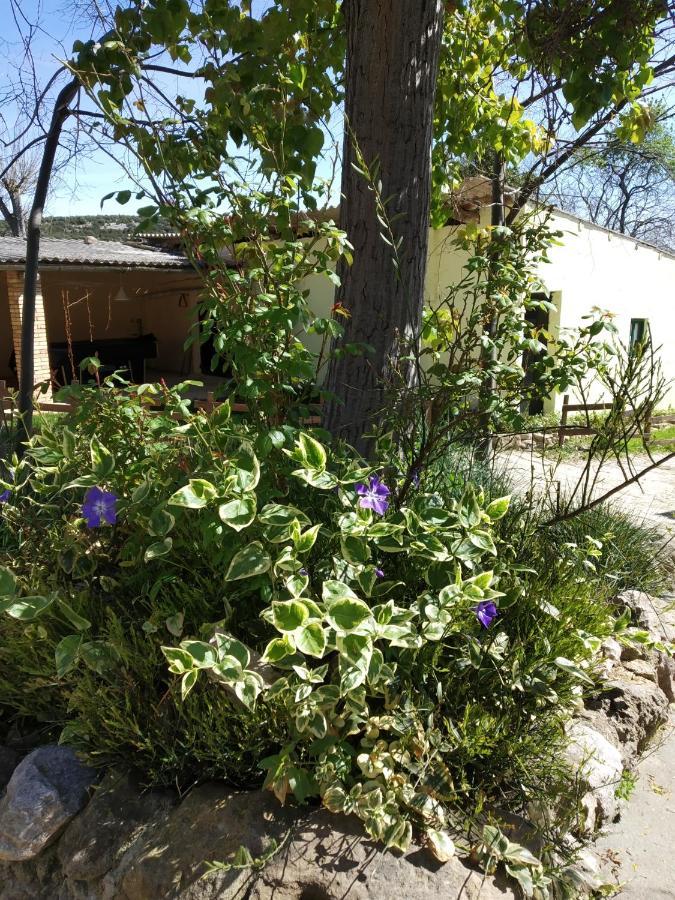 Camping Yaso-Guara Exterior foto